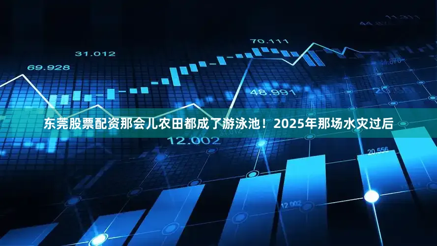 东莞股票配资那会儿农田都成了游泳池！2025年那场水灾过后