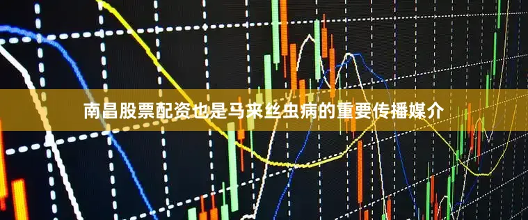 南昌股票配资也是马来丝虫病的重要传播媒介